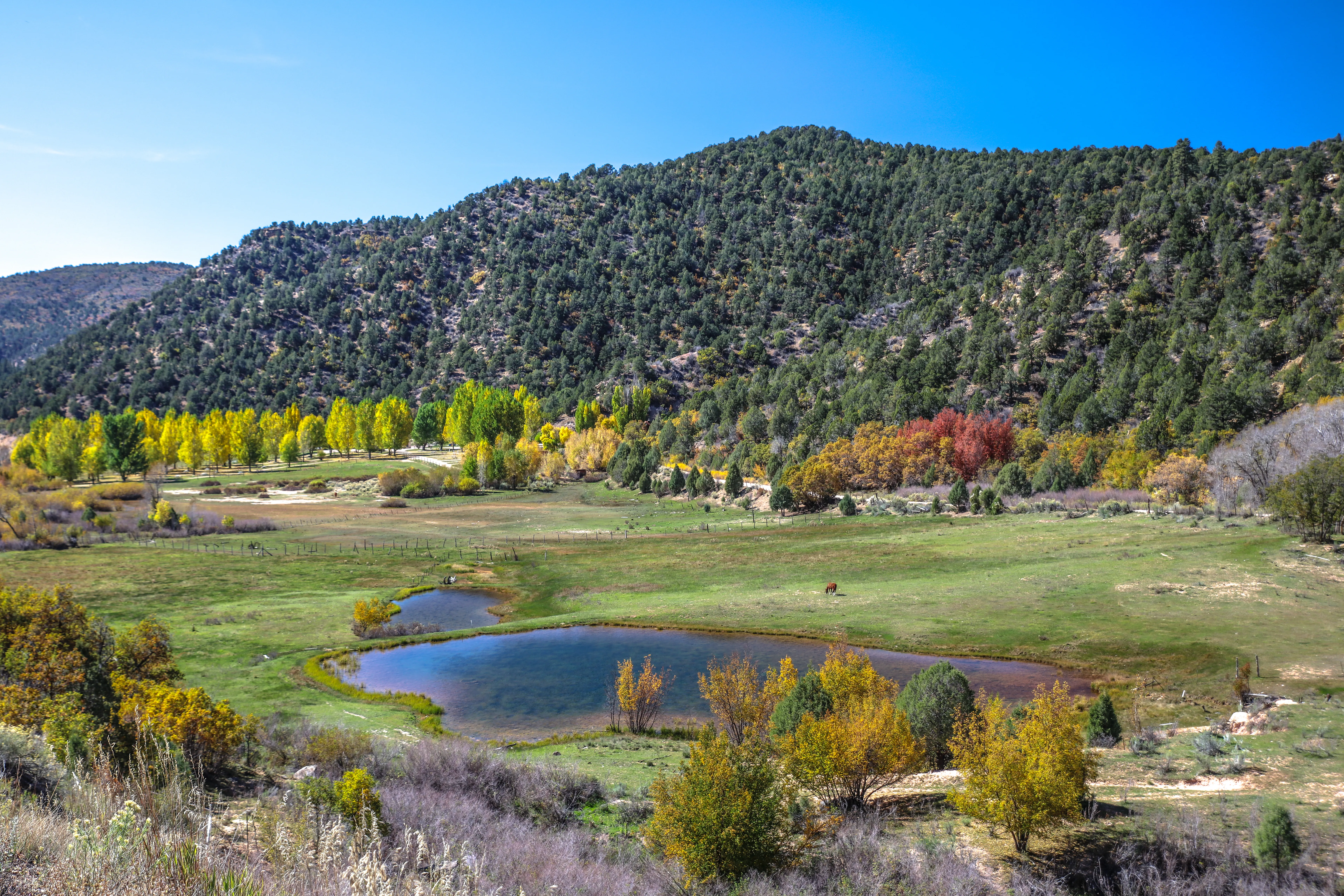 real photo · Cedar Mountain cabin job site